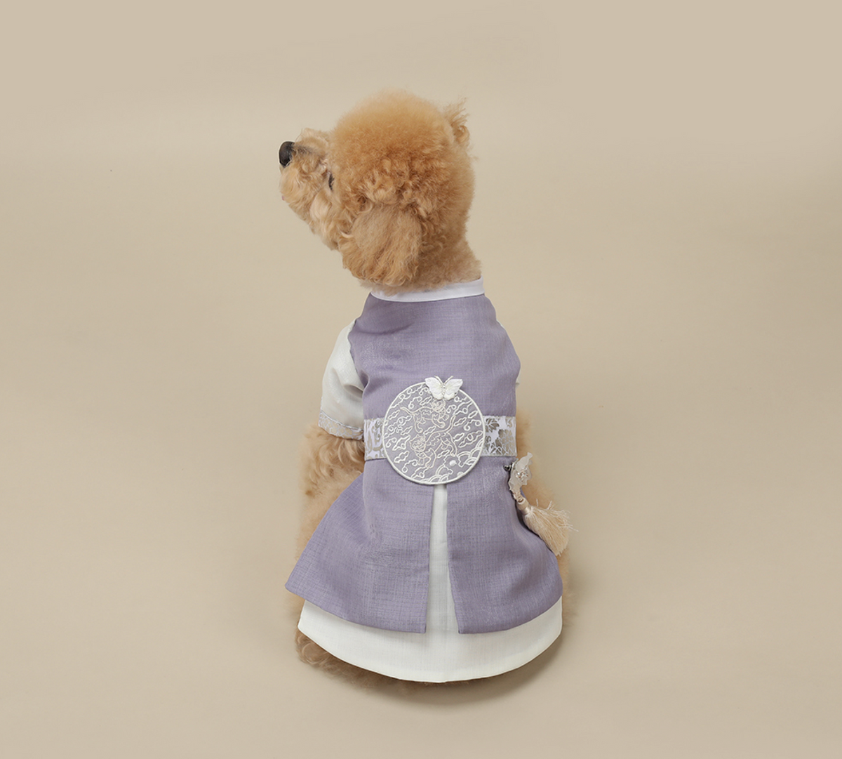 Prince Purple pet hanbok featuring a lavender jeogori with white lace details and a decorative norigae.