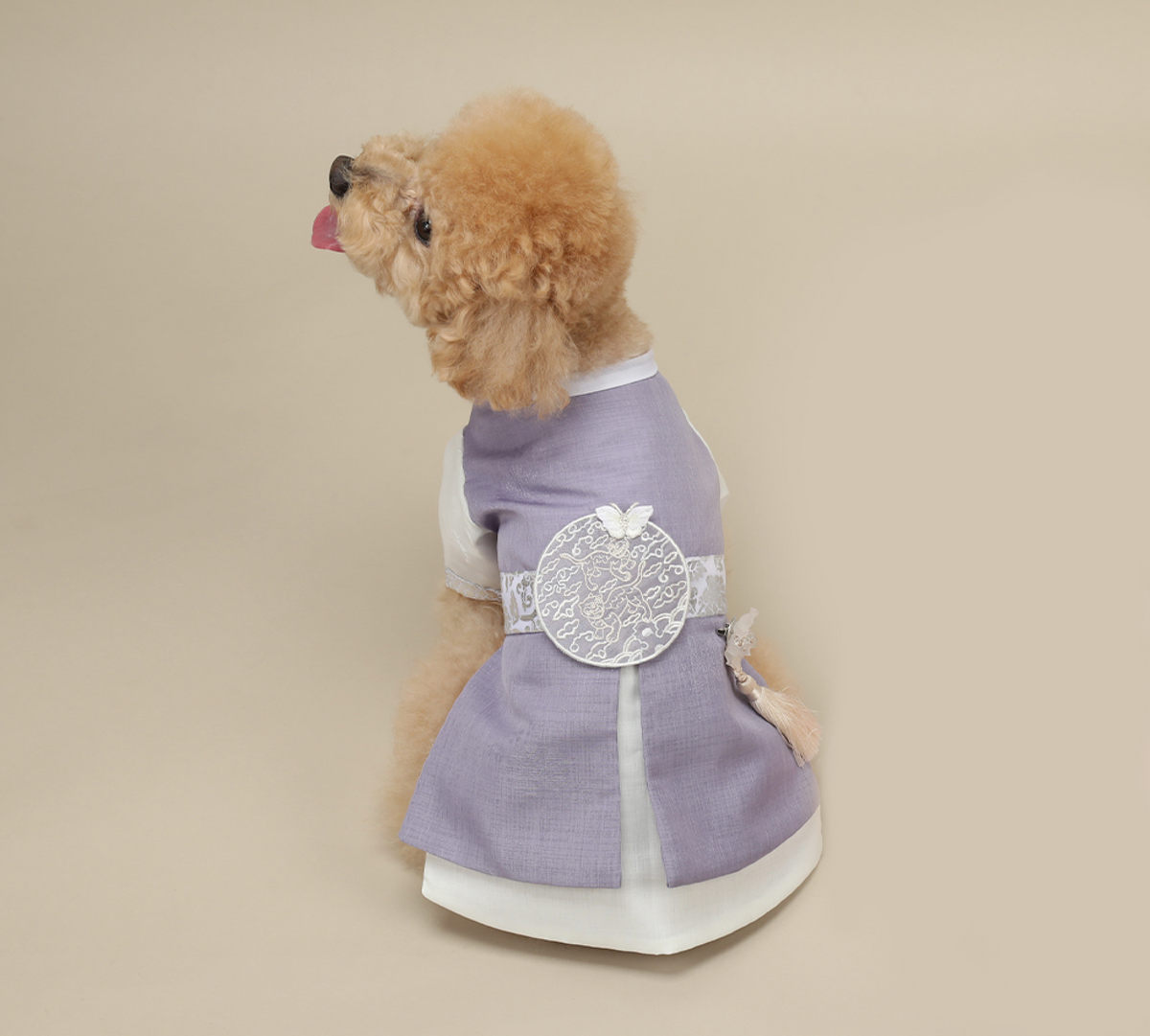 Prince Purple Pet Hanbok