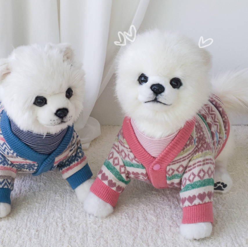 Two small white dogs wearing NKpup jacquard knit dog cardigans in blue and pink patterns.