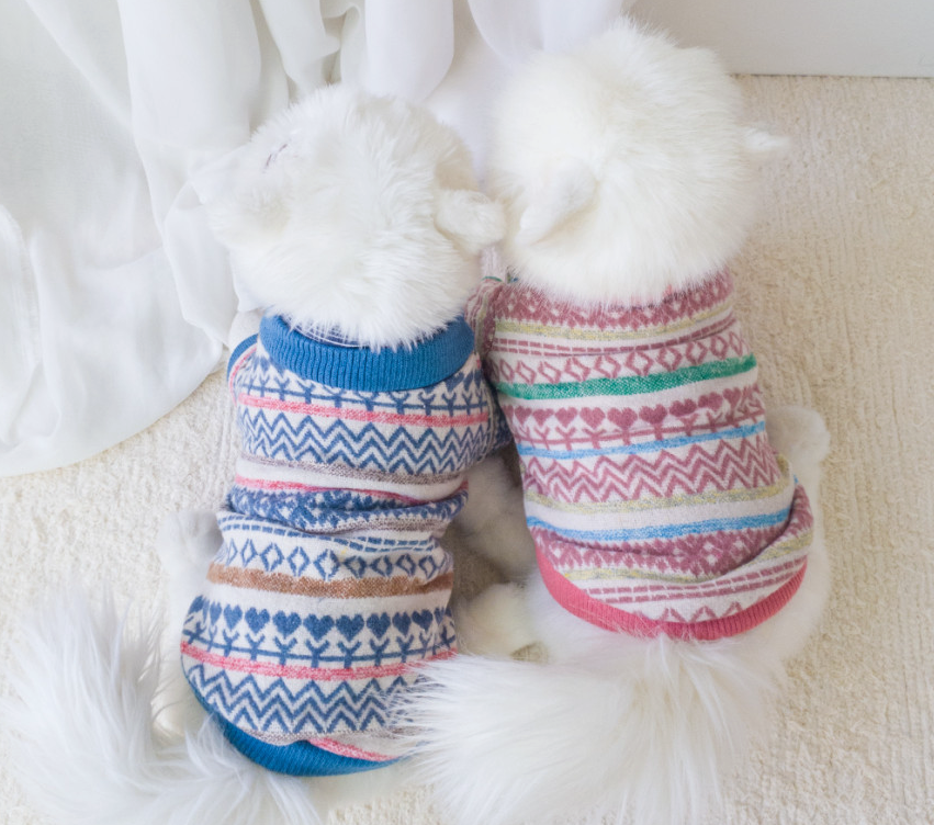 Two white dogs wearing NKpup jacquard knit dog cardigans in blue and pink patterns.