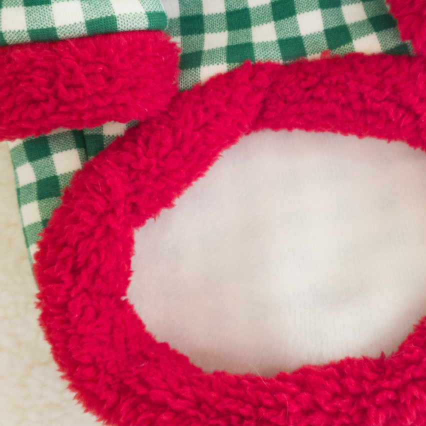 Christmas Gingham Dog Outfit