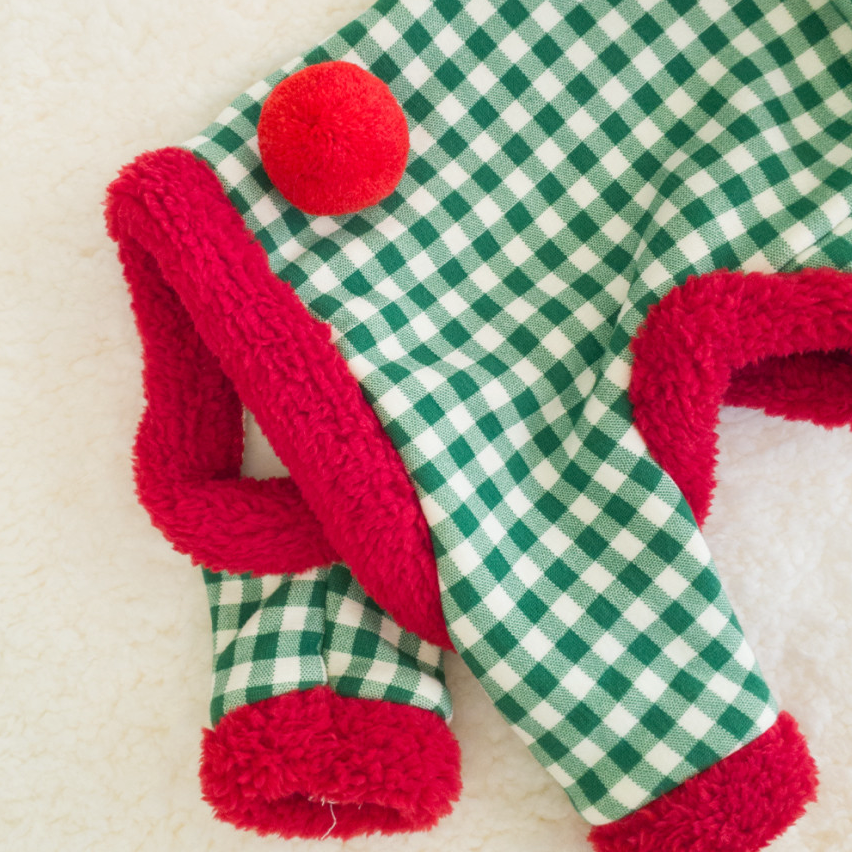 Christmas Gingham Dog Outfit