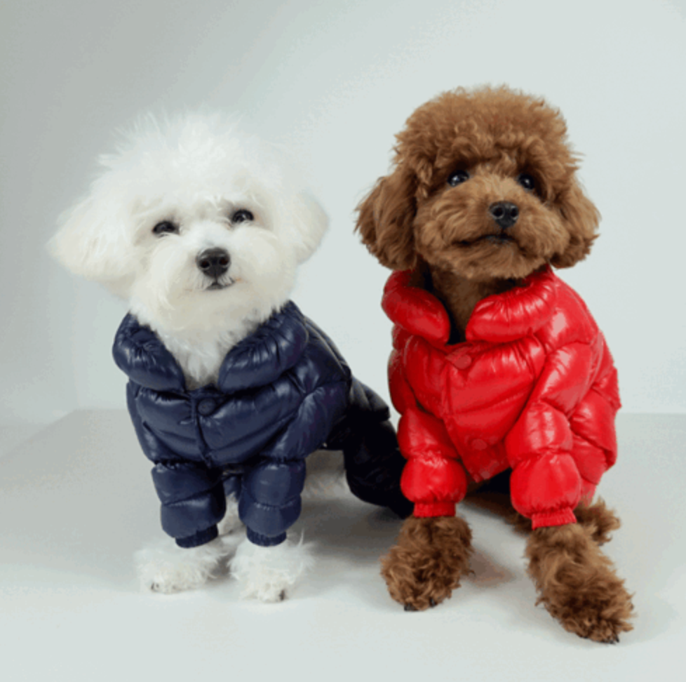 Water resistant Puffer Overall