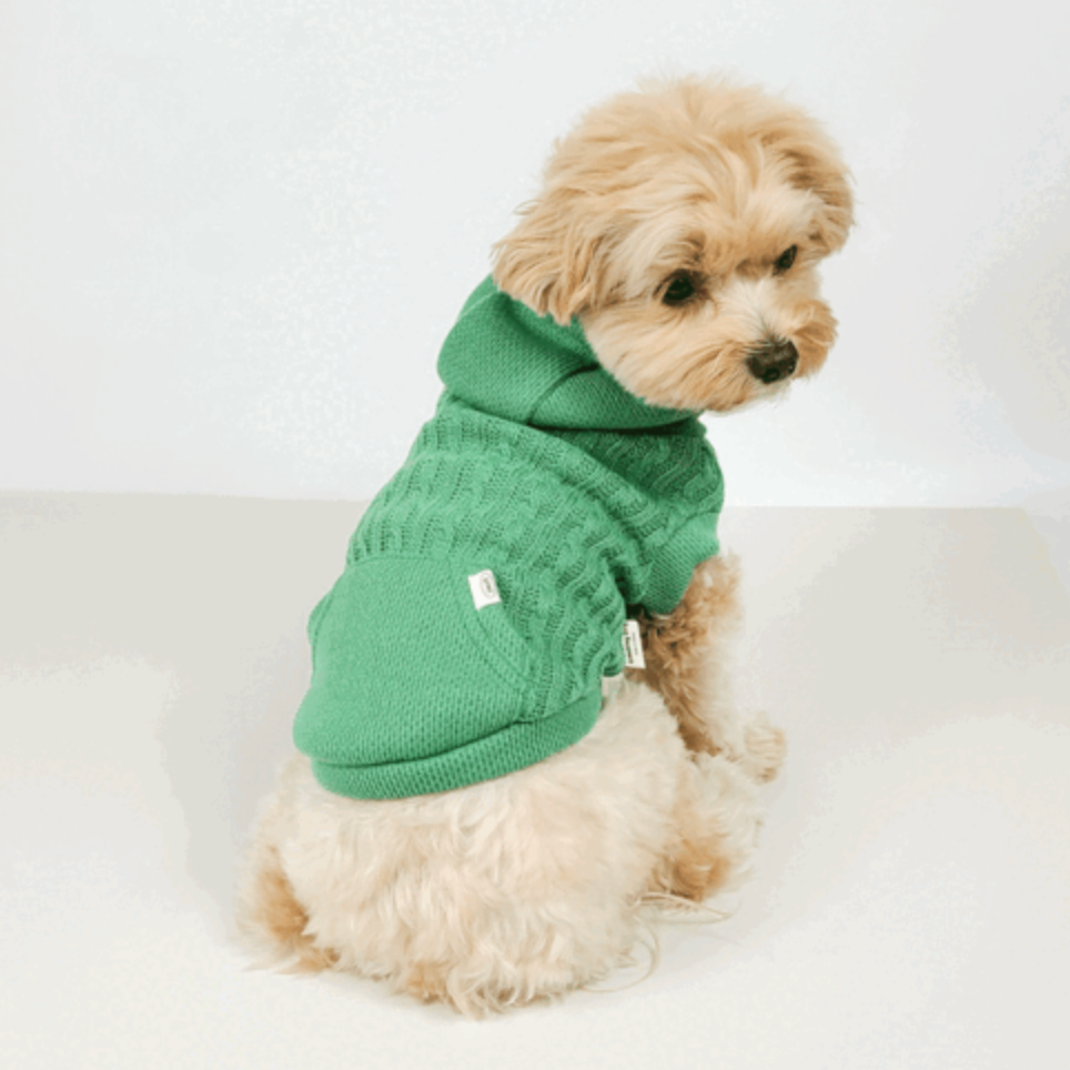 Green cable knit dog hoodie by NKpup