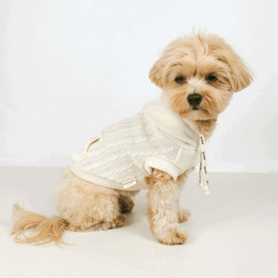 Cream-colored cable knit dog hoodie by NKpup