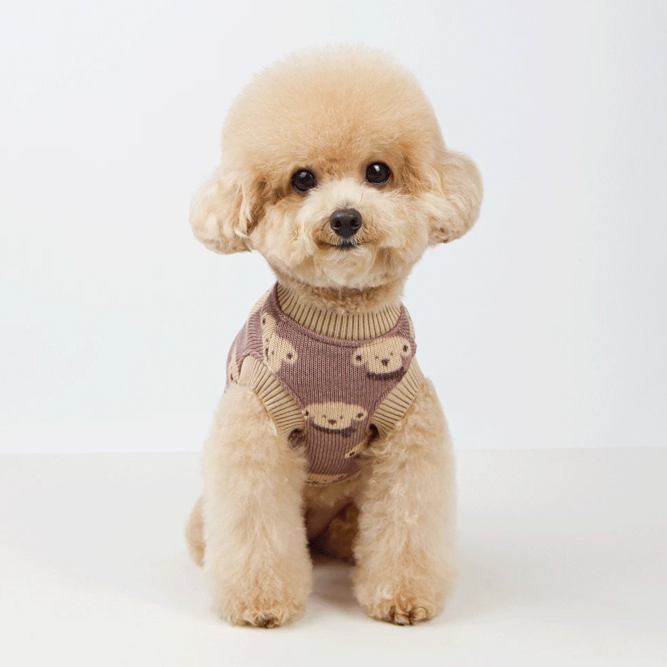 NKpup Puppy Knit Dog Vest in mauve with beige ribbed trim and cute bear patterns