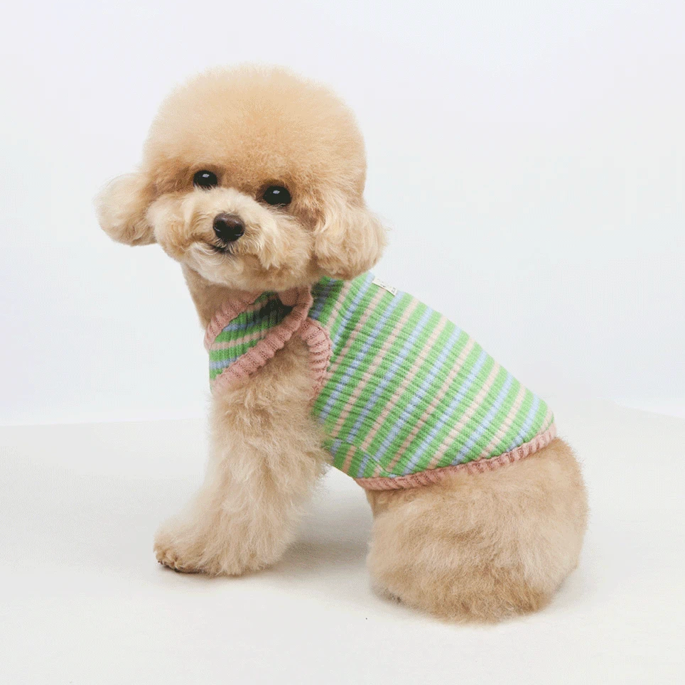 NKpup Stripe Knit Dog Vest in green and pink striped pattern