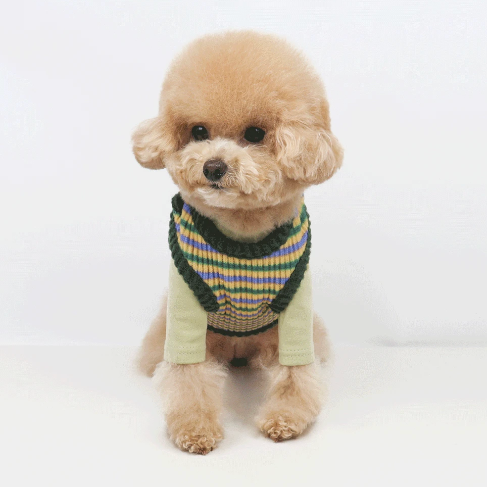 NKpup Stripe Knit Dog Vest in multi-colored stripes with green trim