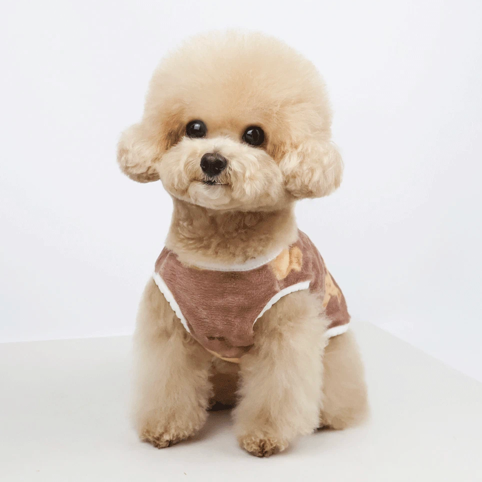 Teddy Bear Plush Dog Vest