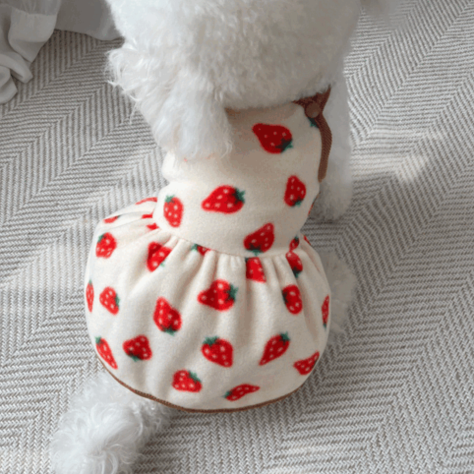 Strawberry Fleece Dress