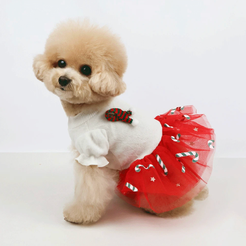Christmas Tutu Dress for Dog | Gift for Dogs