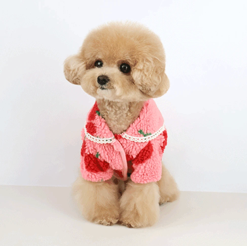 Large Collar Jacquard Cardigan