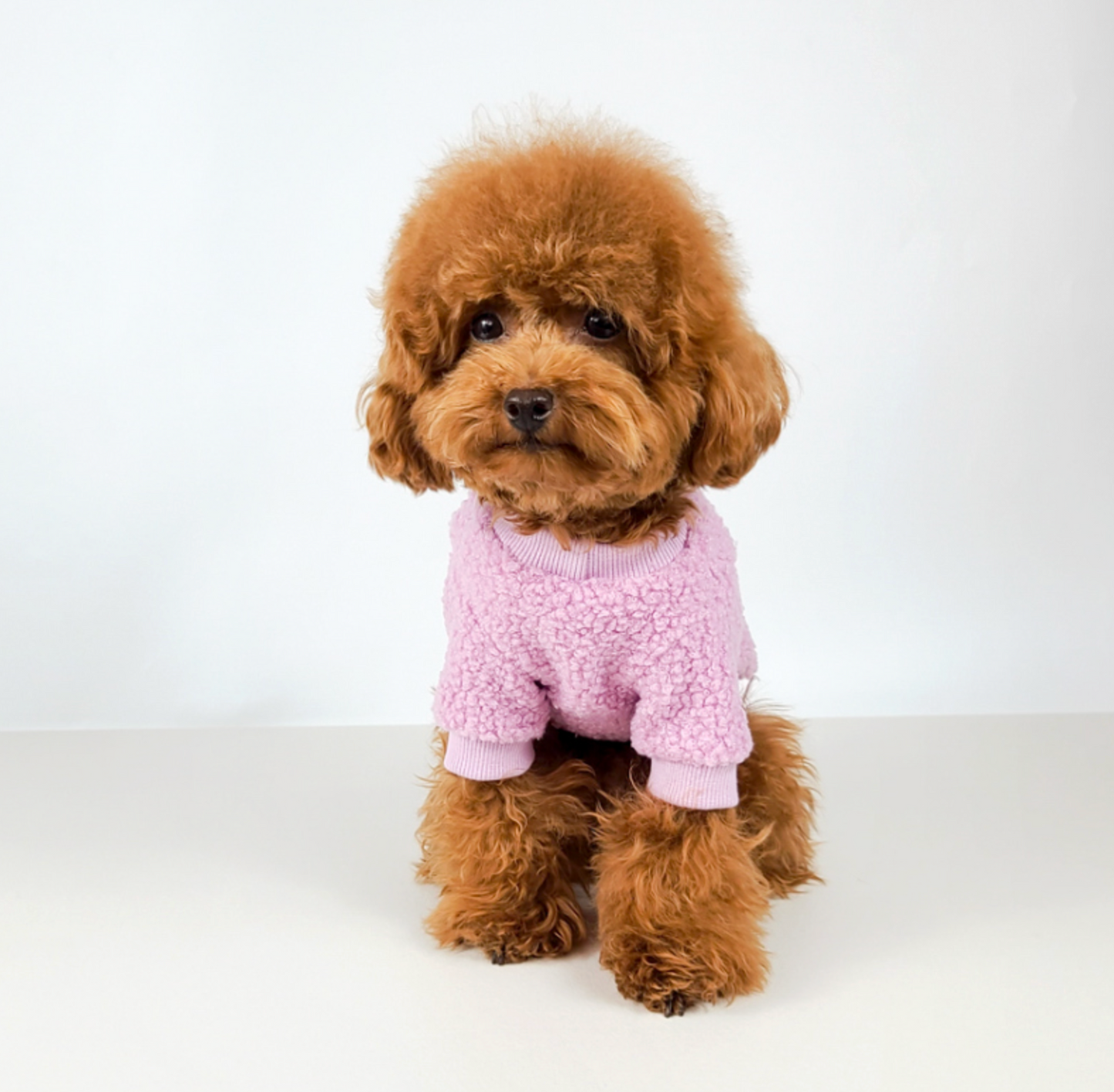 Sheep Fleece Sweater