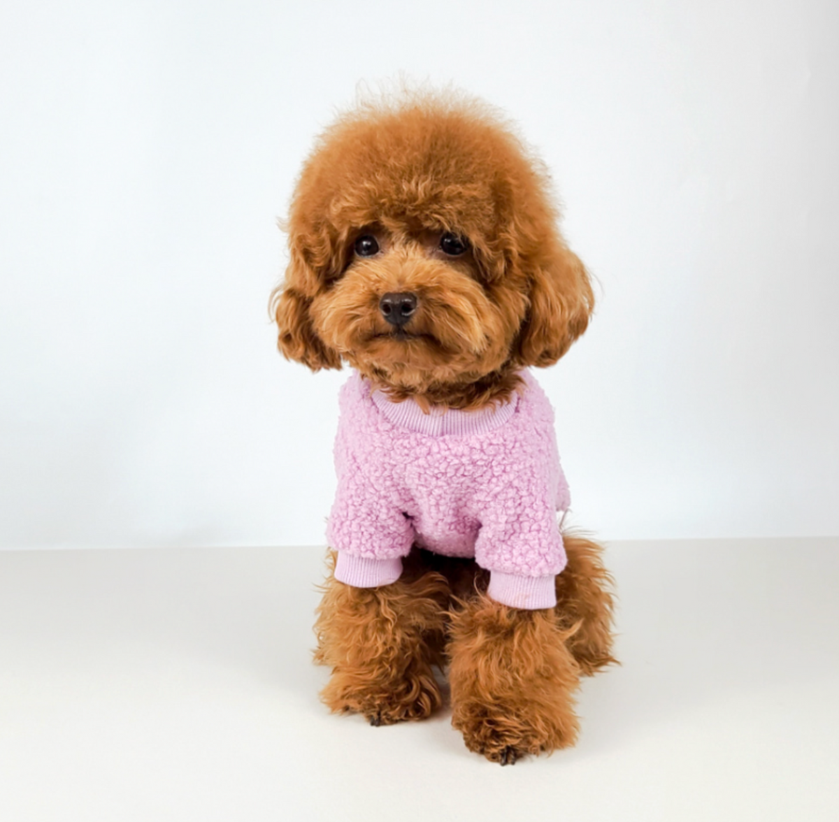 NKpup Welly Fleece Dog Sweatshirt in light pink textured fabric