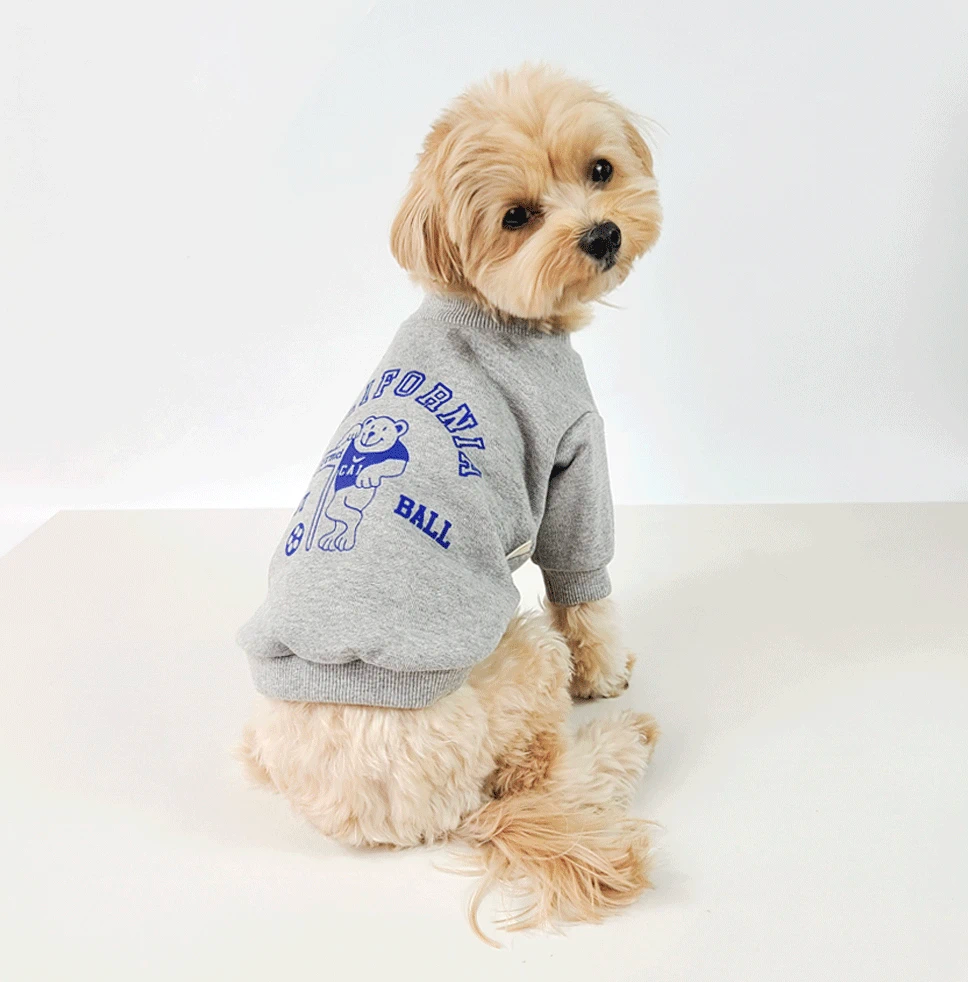 California Sweatshirt