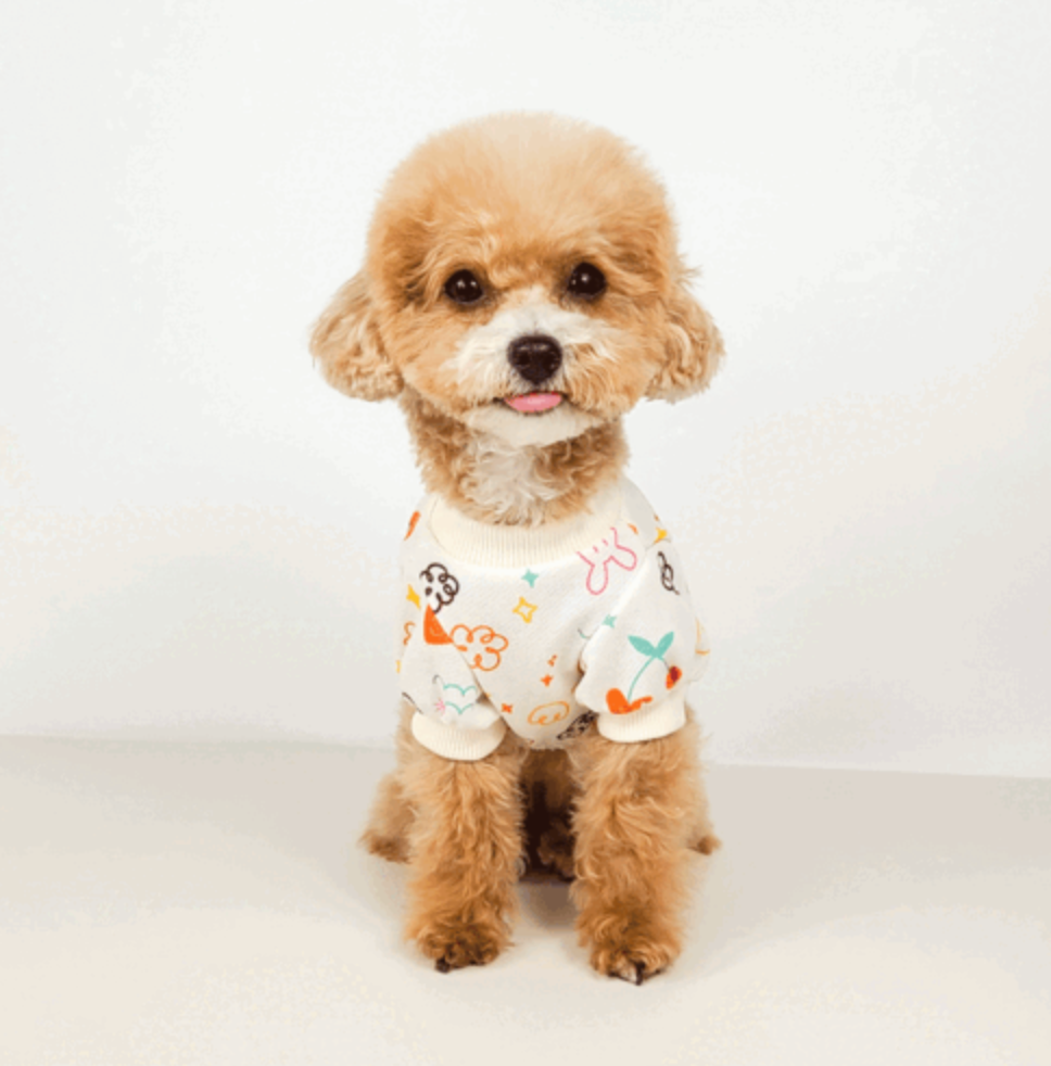 Spring Crop Sweatshirt