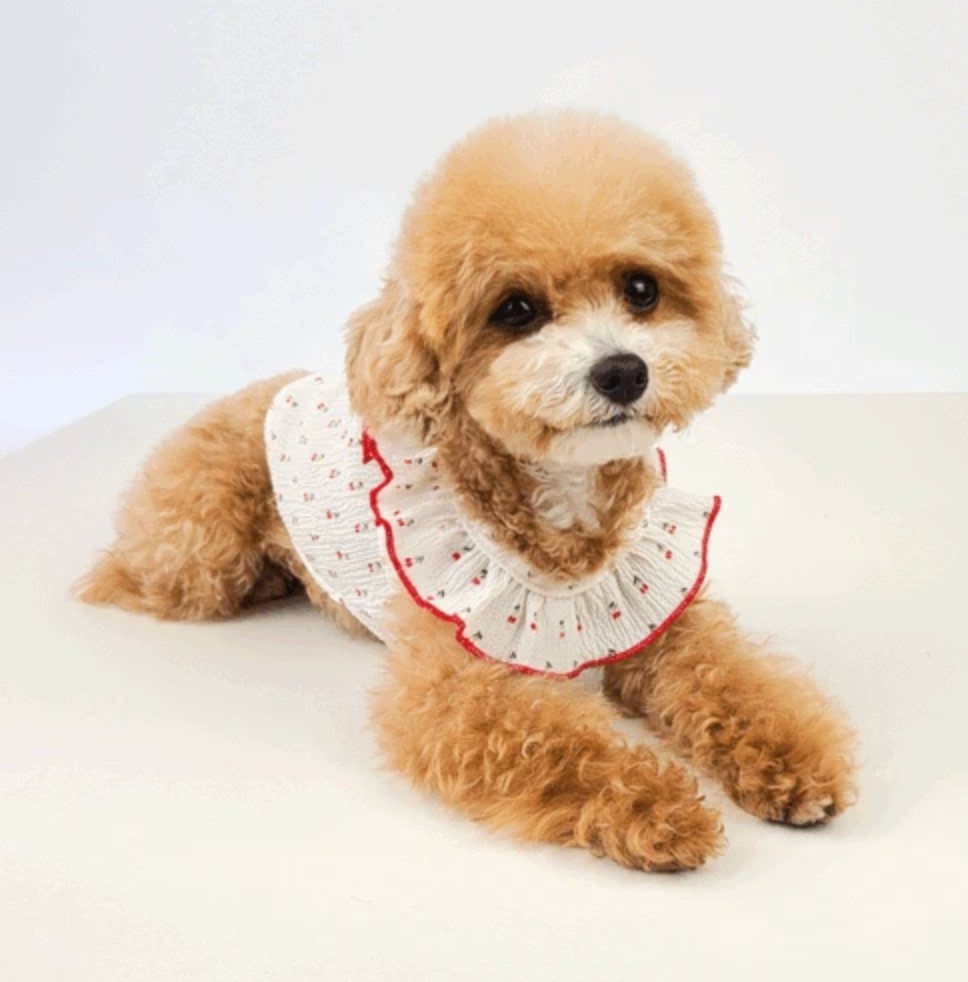 A white sleeveless dog shirt with a red ruffled collar and small red patterns.
