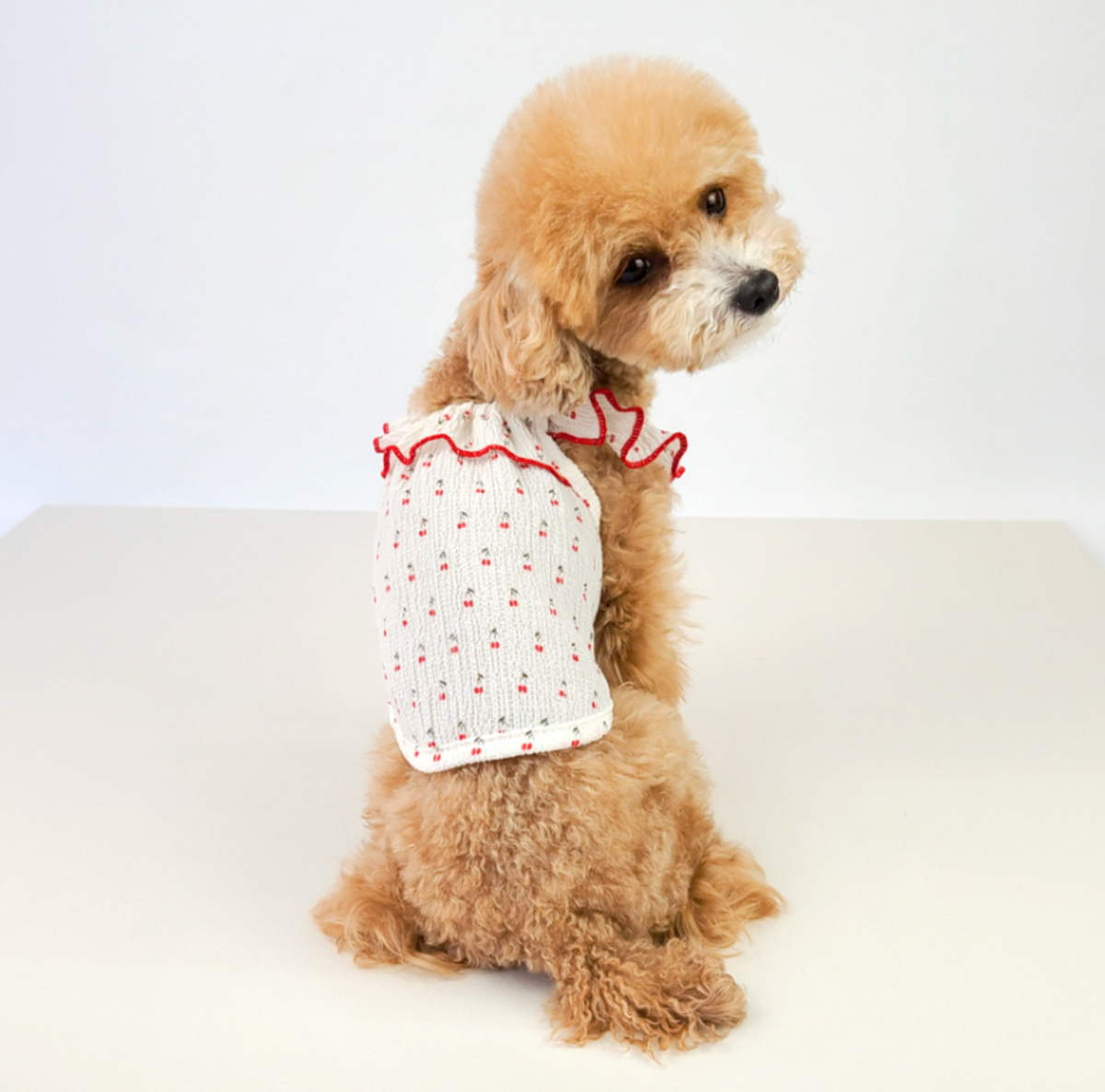 NKpup Wing Sleeveless white dog vest with red cherry pattern and ruffled trim.