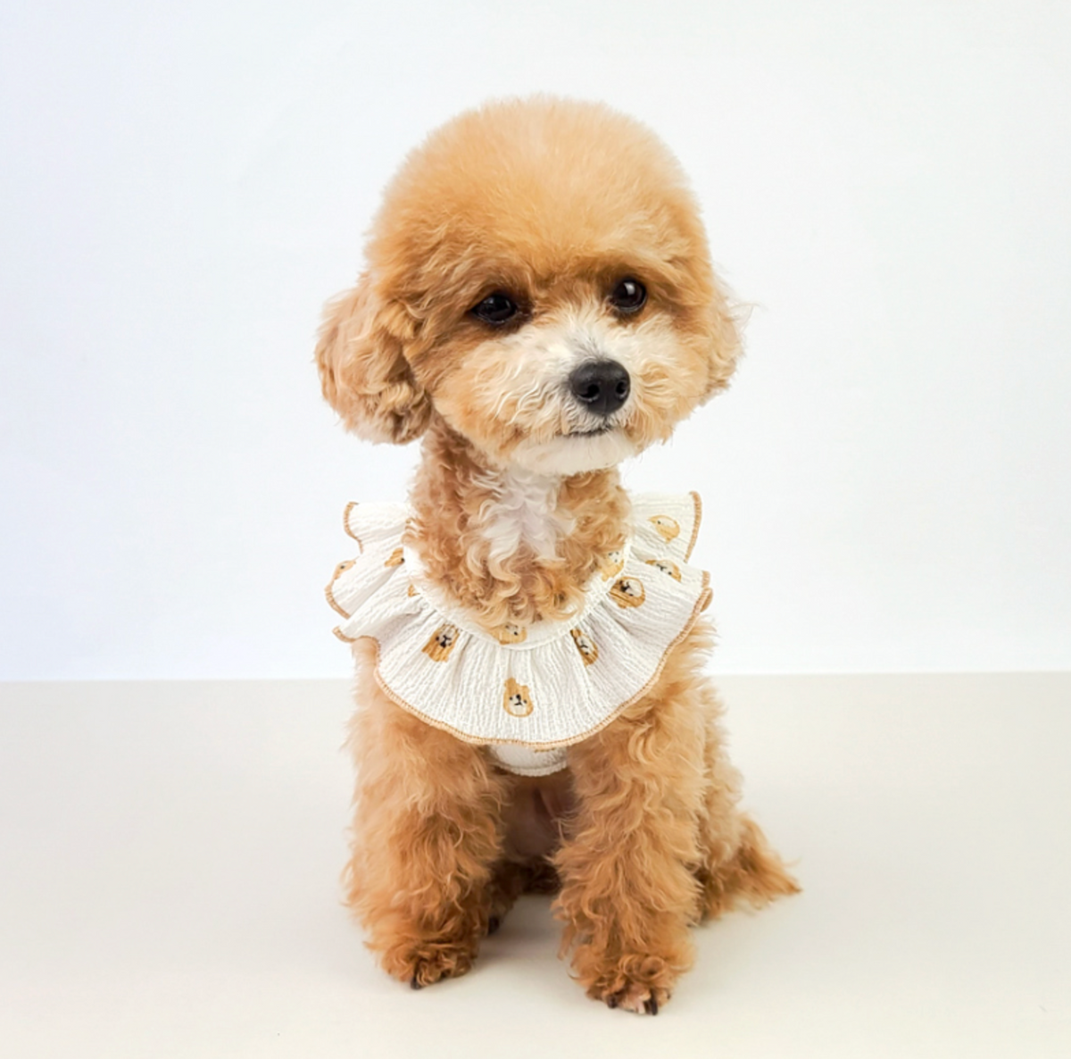 NKpup Wing Sleeveless white ruffled dog vest with gold embroidery details