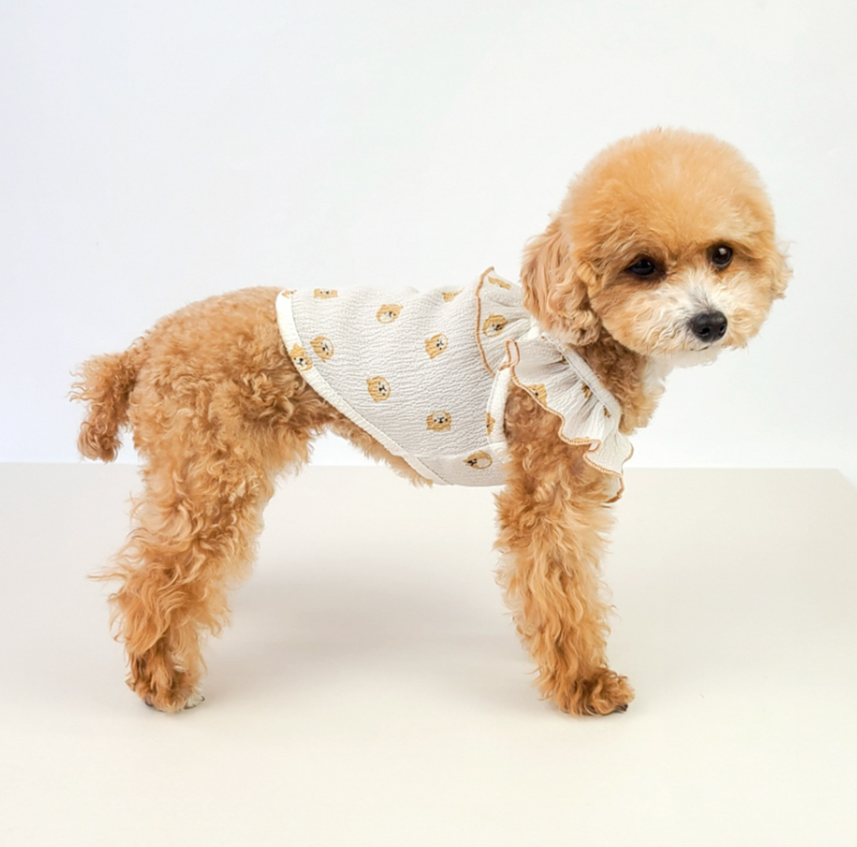 NKpup Wing Sleeveless white dog vest with ruffle trim and gold pattern