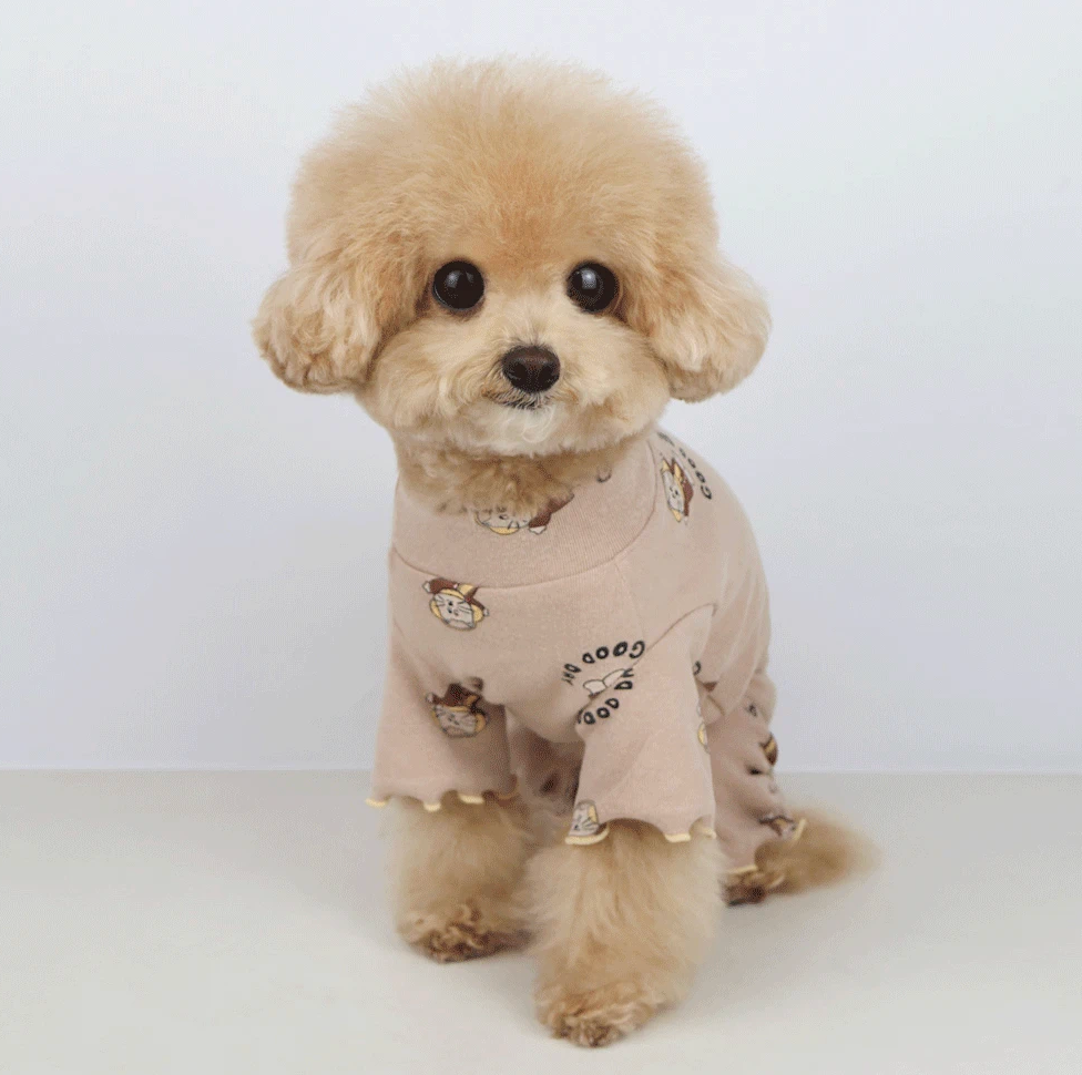 Cozy Bear Print Overall