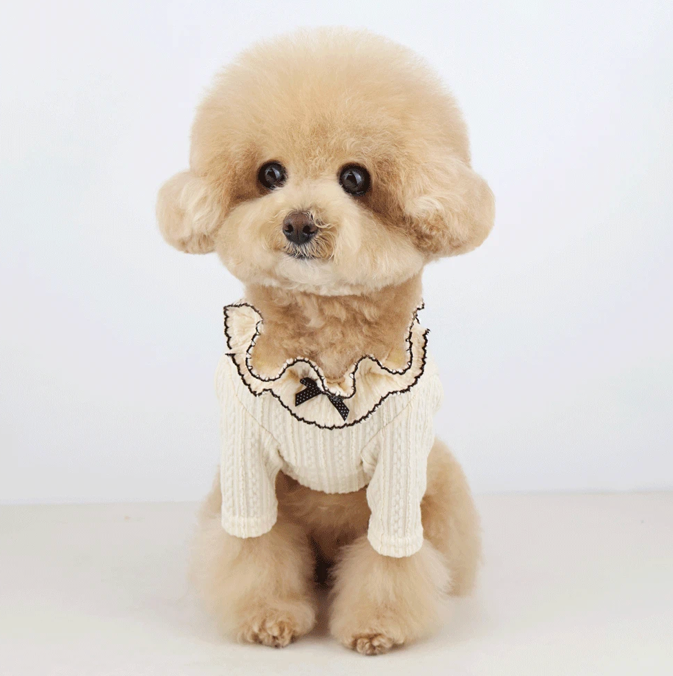 Frill Collar Top