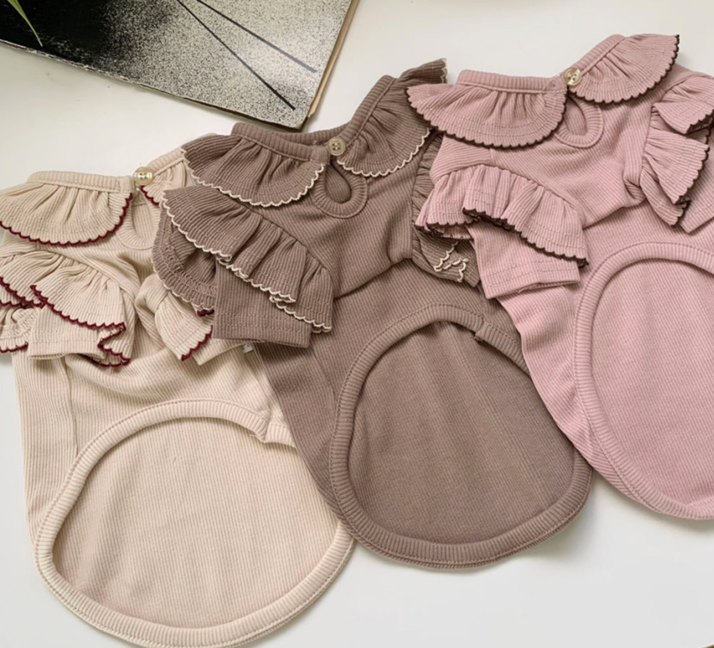 Ruffle Collar Ribbed Top