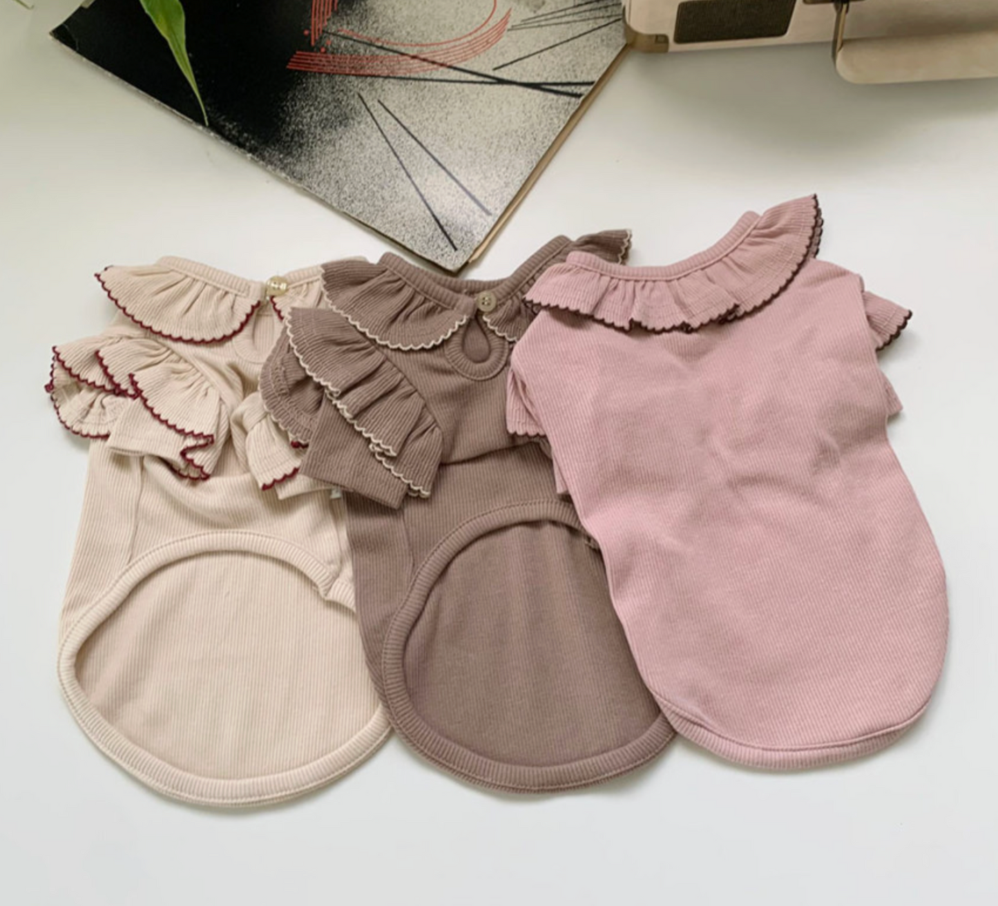 Ruffle Collar Ribbed Top