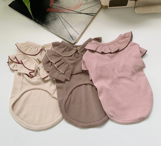 Ruffle Collar Ribbed Top
