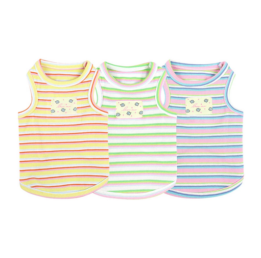 Fresh Stripe Top
