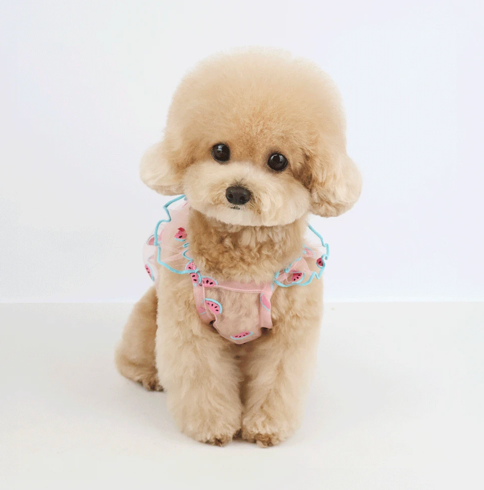 Fruit Chiffon Sleeveless