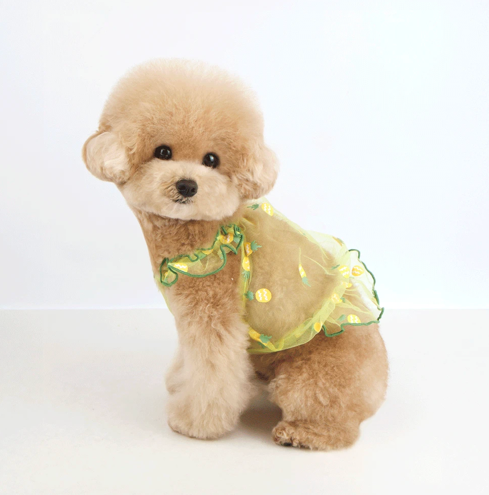 Fruit Chiffon Sleeveless