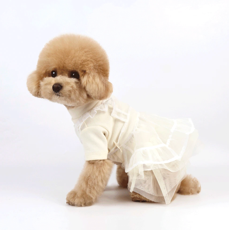 Sheer Organza Dog Dress