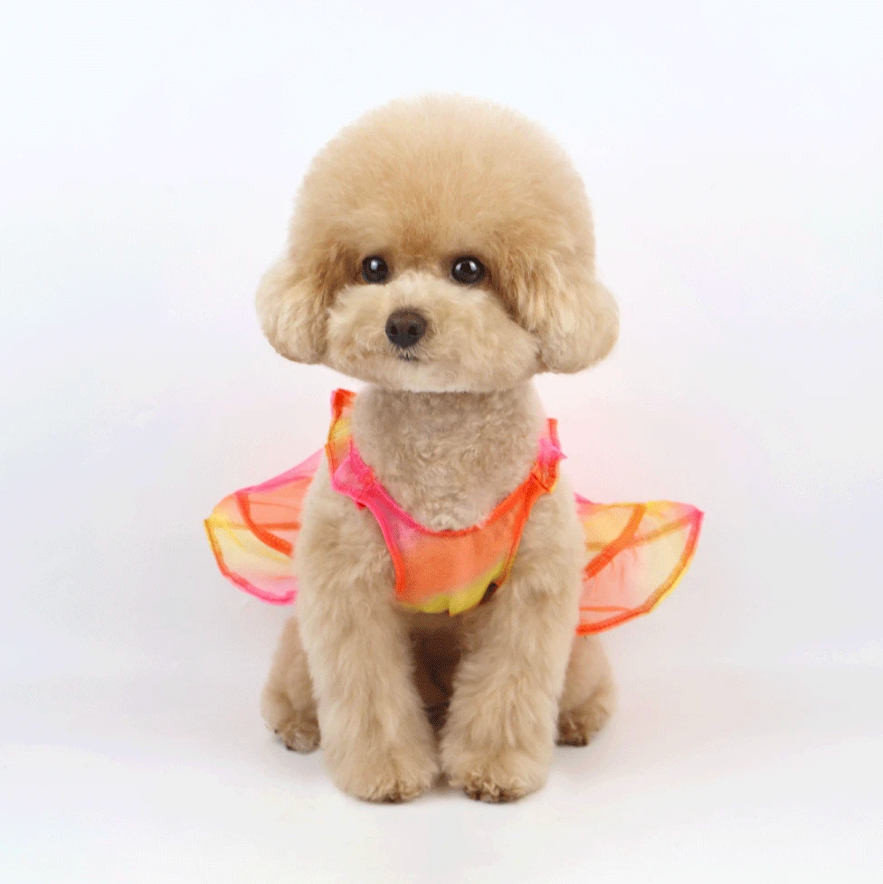 Sheer Organza Dog Dress