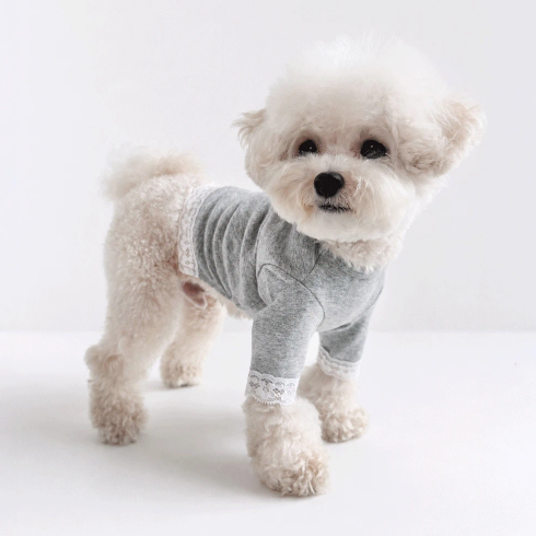 Mellow Lace Dog Shirt