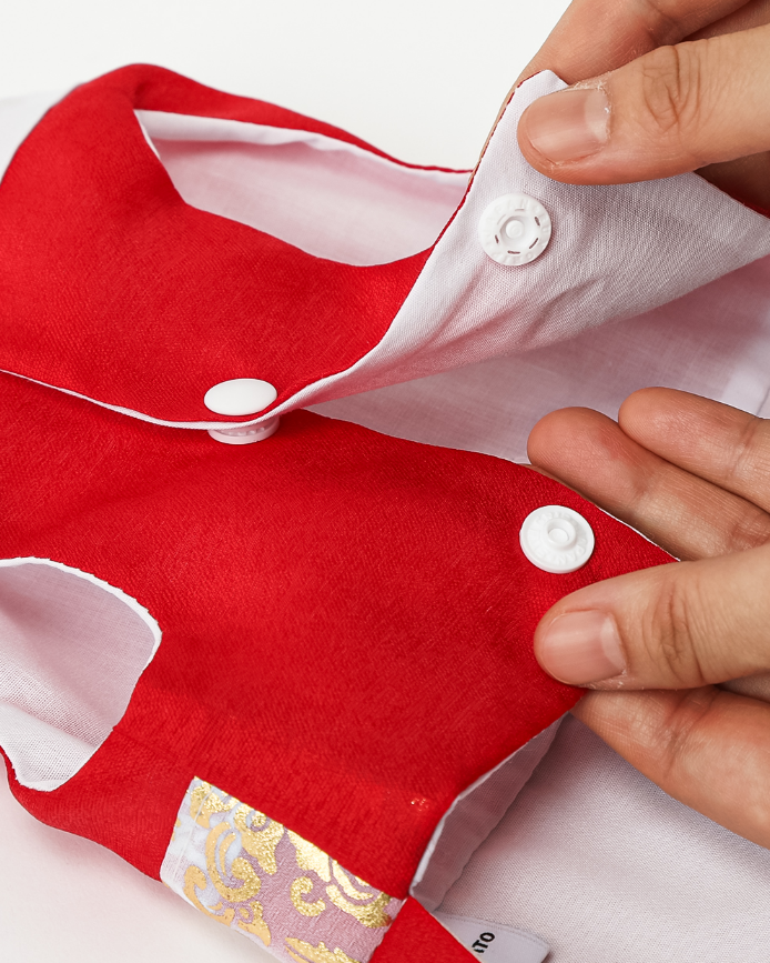 Phoenix Red Pet Hanbok