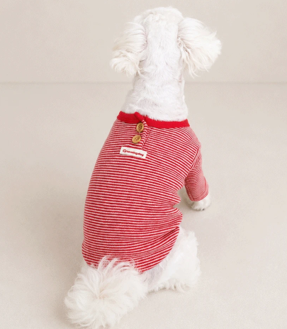Woody Stripe Button Dog Shirt