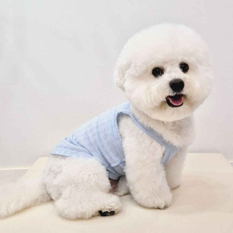 Basic Dog Tank Top