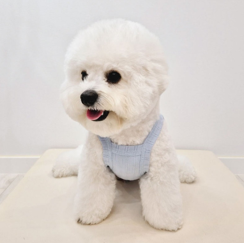Basic Dog Tank Top