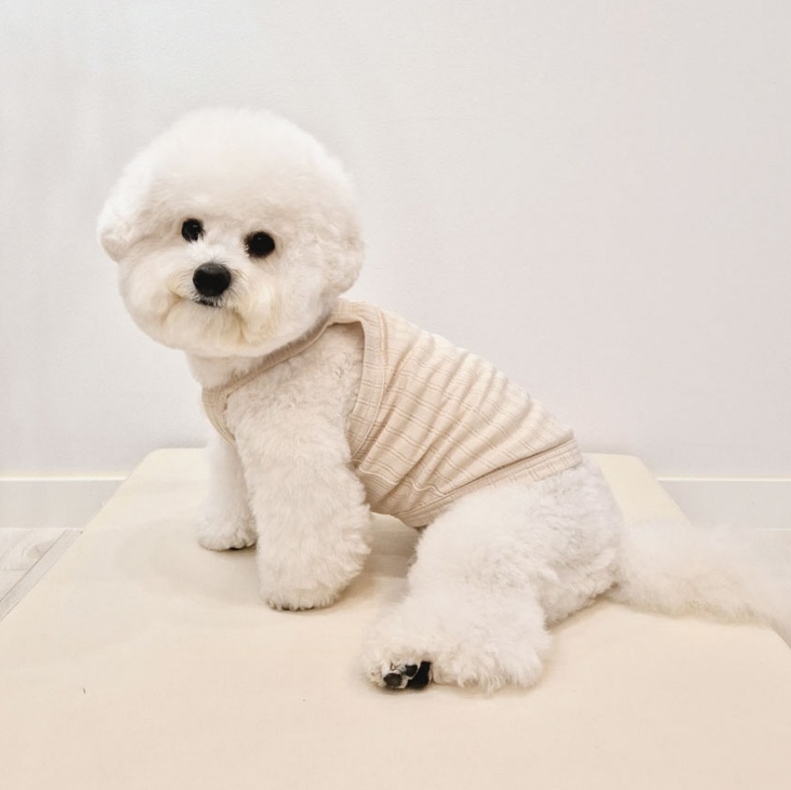 Basic Dog Tank Top