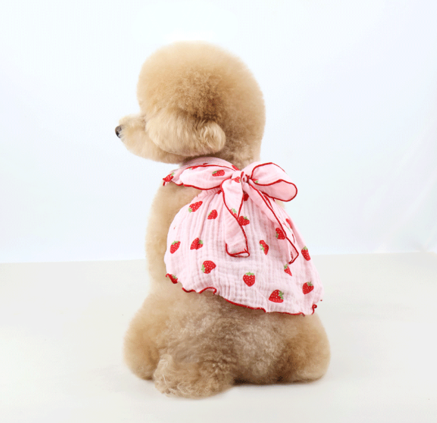 Strawberry Ribbon Dog Dress