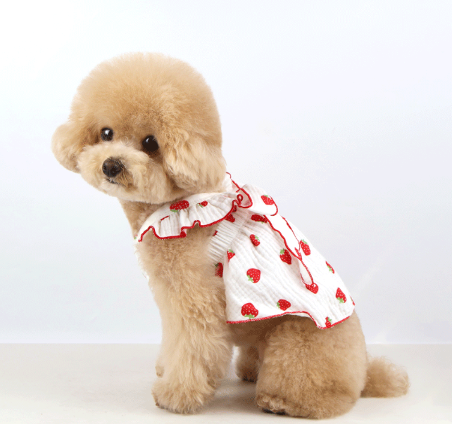 Strawberry Ribbon Dog Dress