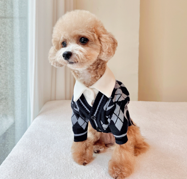 Argyle Knit Dog Cardigan
