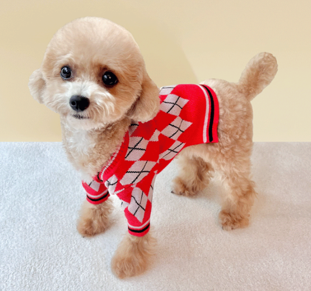 Argyle Knit Dog Cardigan
