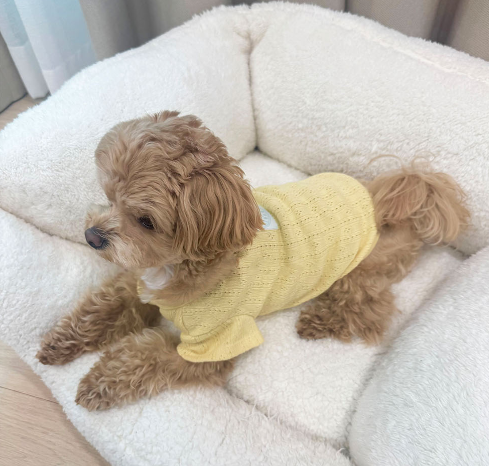 Vicky Eyelet Dog Cardigan