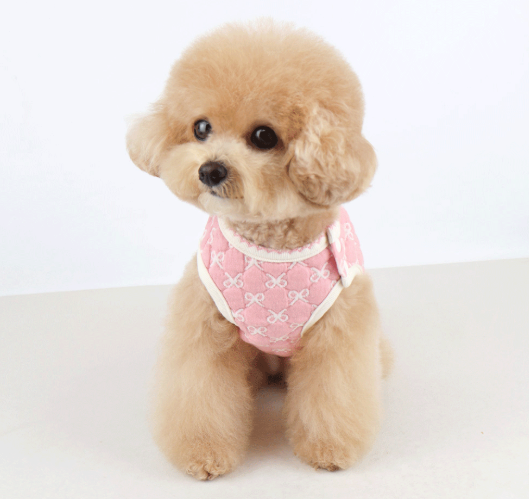 Lovely Ribbon Quilted Dog Vest