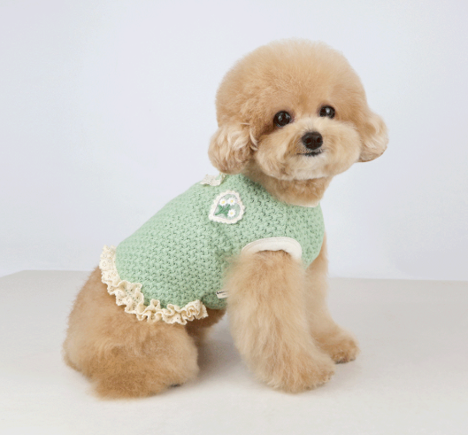 Garden Knit Dog Vest