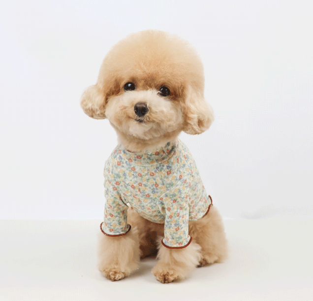 Blossom Ruffle Dog Shirt