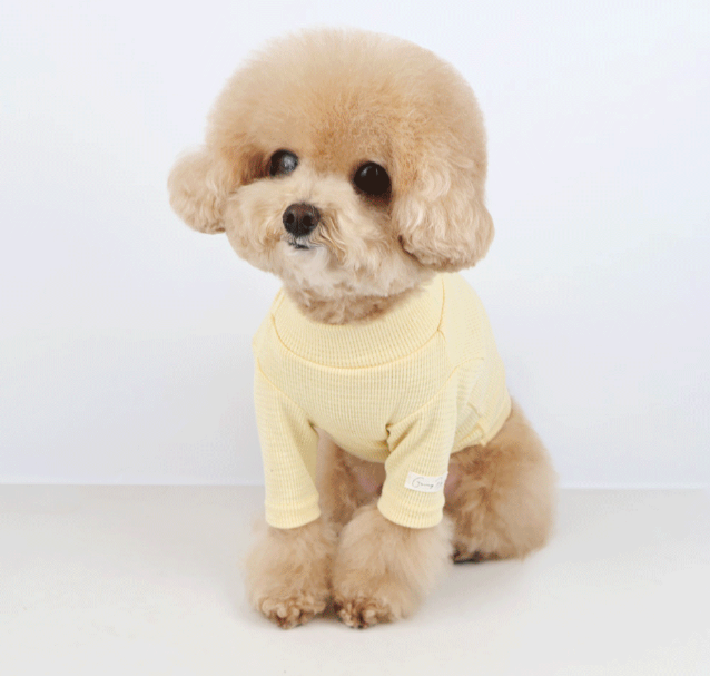 Soft Waffle Top