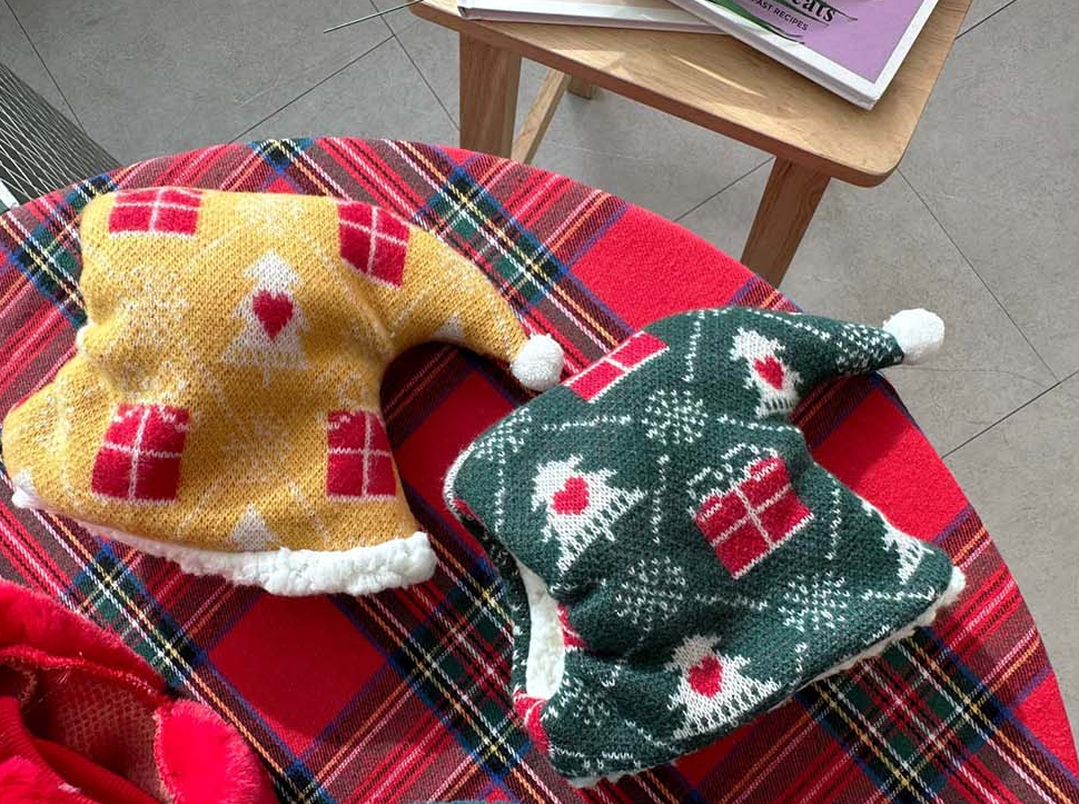 Santa Tree Dog Vest&Hat Set